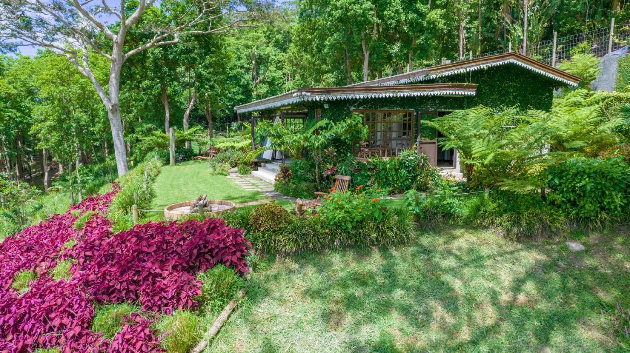 Green Cottage Chamarel Zewnętrze zdjęcie